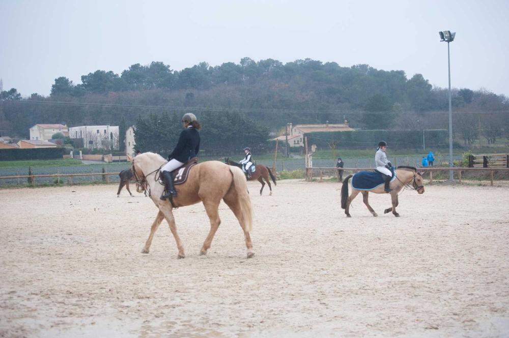 Stages d'équitation près de Bagnols-sur-Cèze
