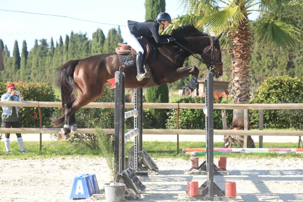 École d'équitation près de Bagnols-sur-Cèze