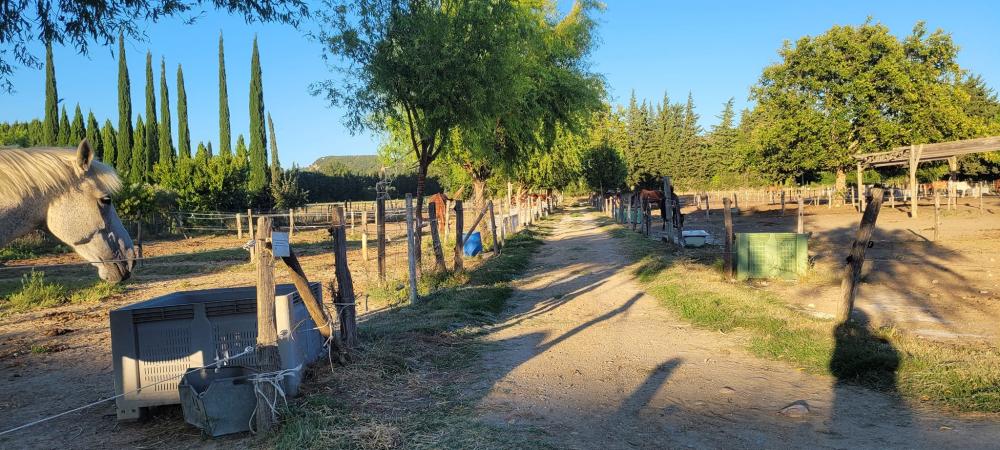 Pension pour chevaux près de Bagnols-sur-Cèze