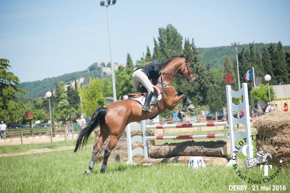 cso-bai