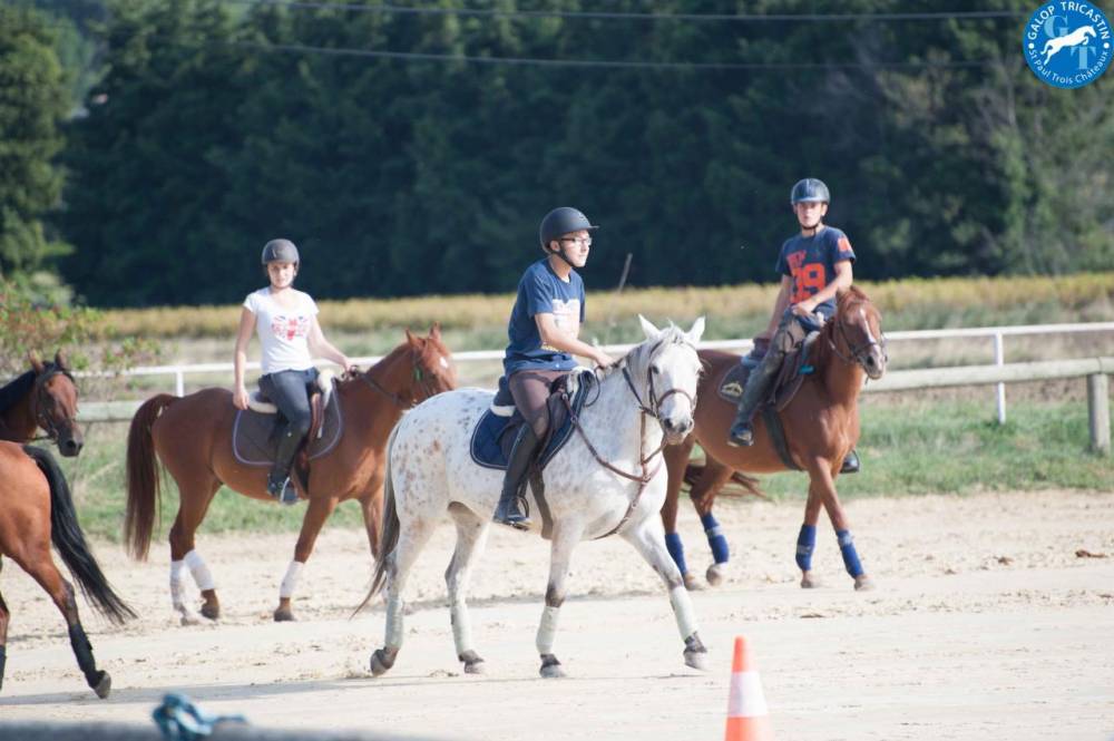 horse-game