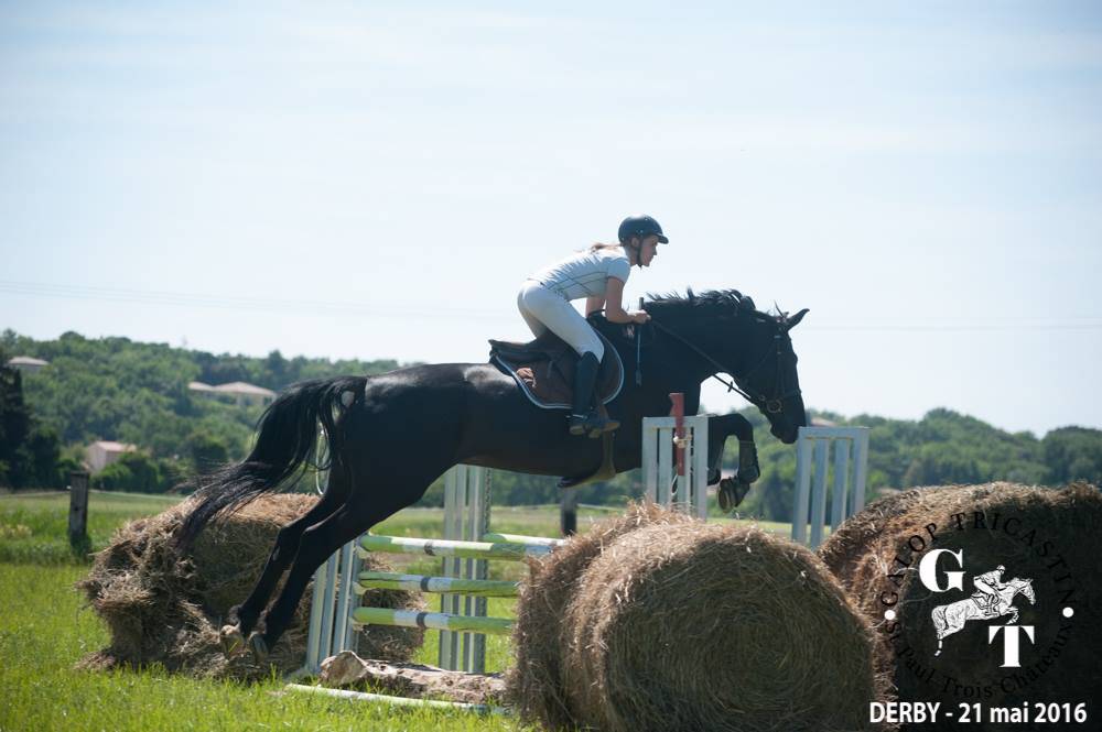 obstacle-foin