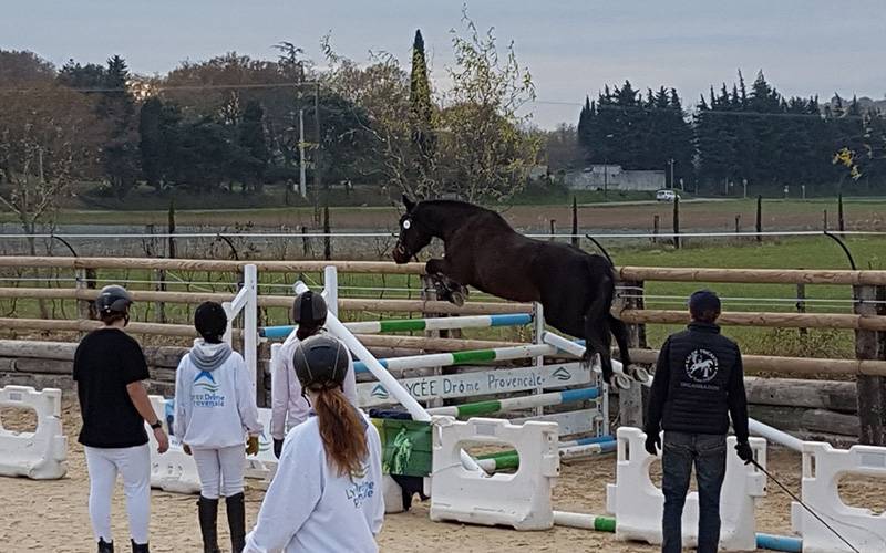 obstacle-liberte