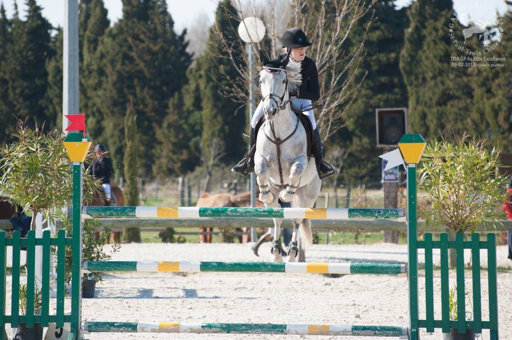 obstacle-vert