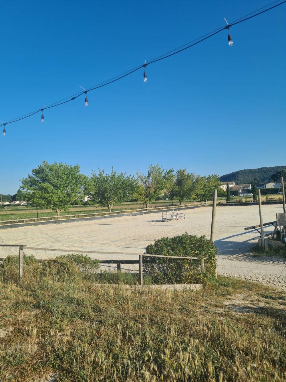 Paddock détente