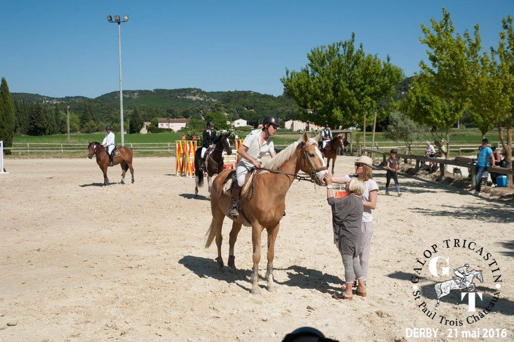 palomino-cavaliers