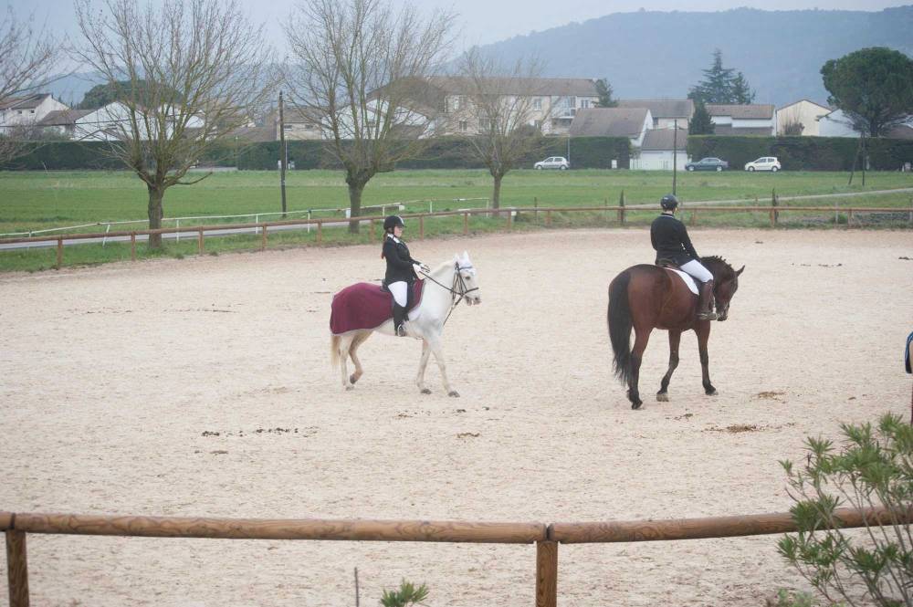 poney-cheval